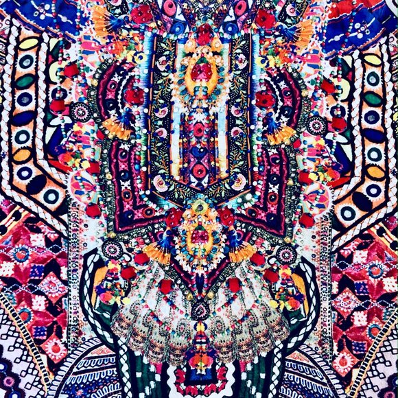 Camilla Crystal Embellished Silk Kalbelia Kaftan - Picture 5 of 8